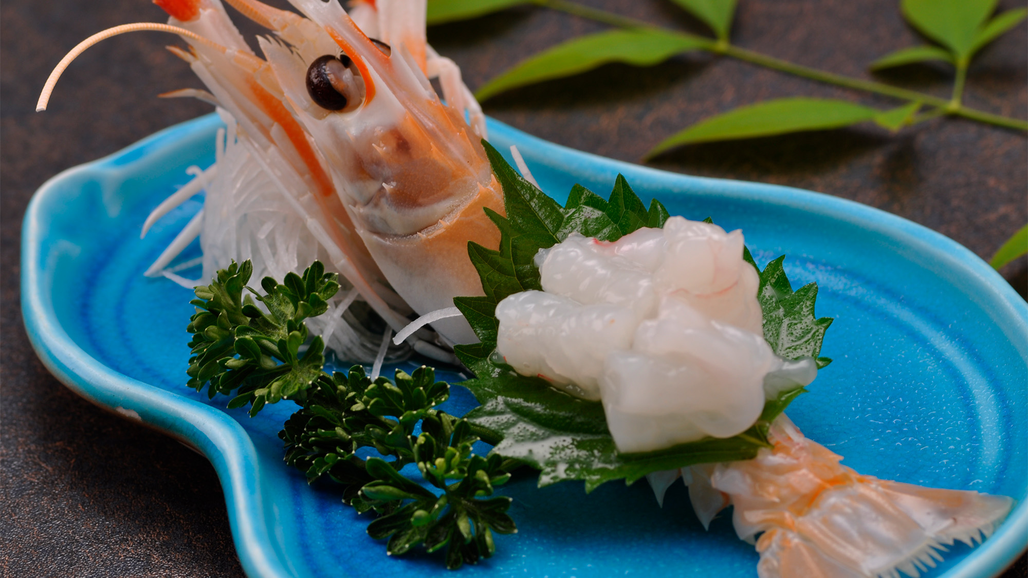 手長エビのお造り