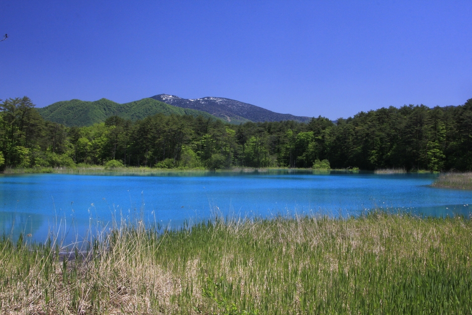 ガイドのオーナーと歩く・お任せガイドプラン【お客様に合わせてご案内】