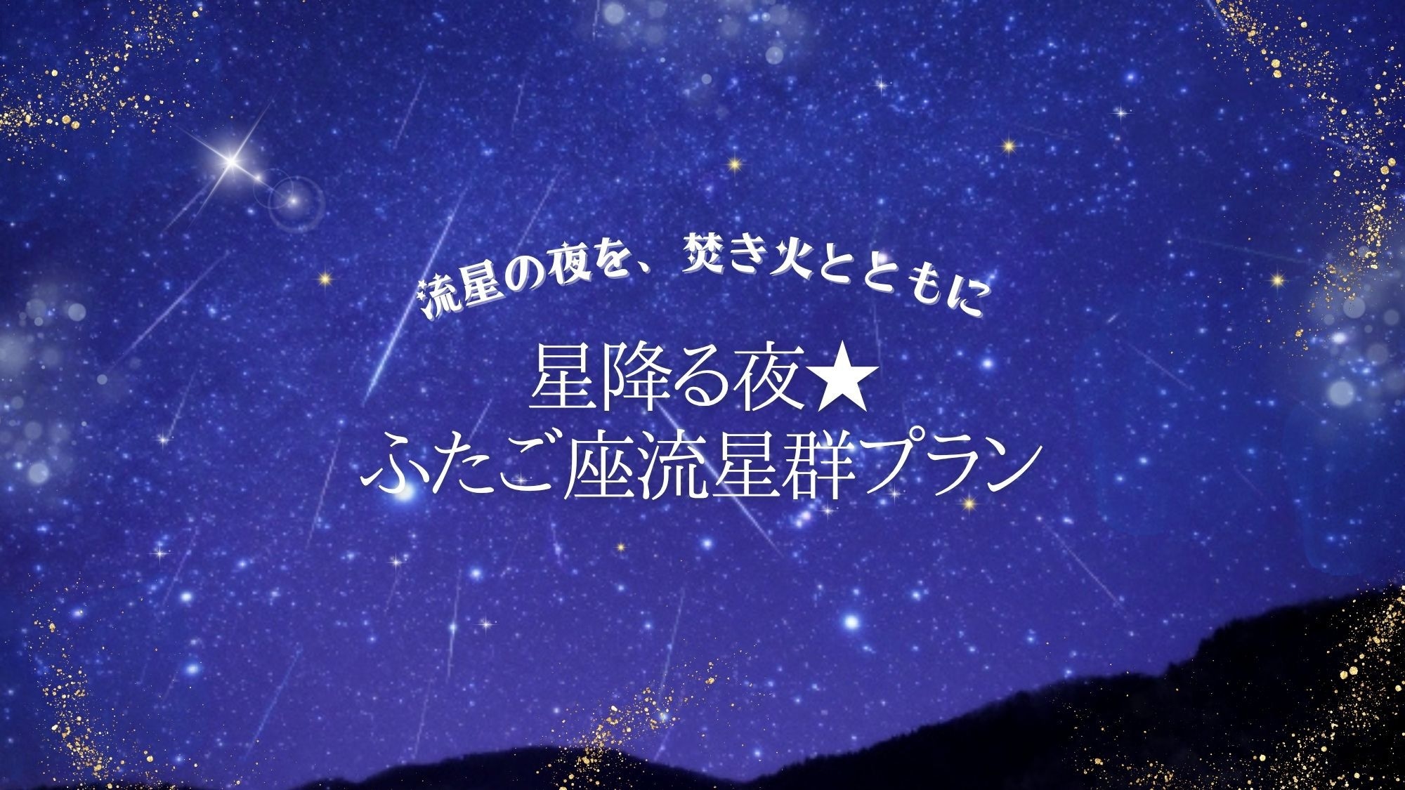 【冬限定】【星と焚き火の物語】ふたご座流星群鑑賞会付き宿泊プラン★