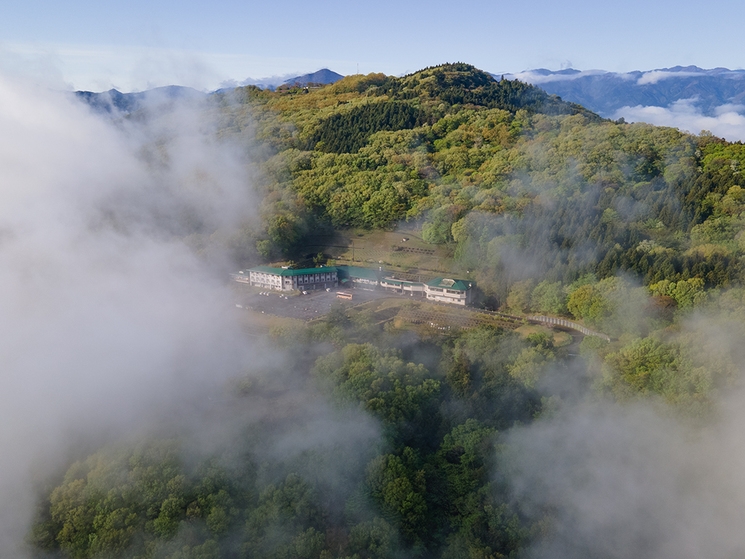 【秩父雲海に一番近い宿】早朝の神秘の世界を見に行こう♪雲海鑑賞プラン