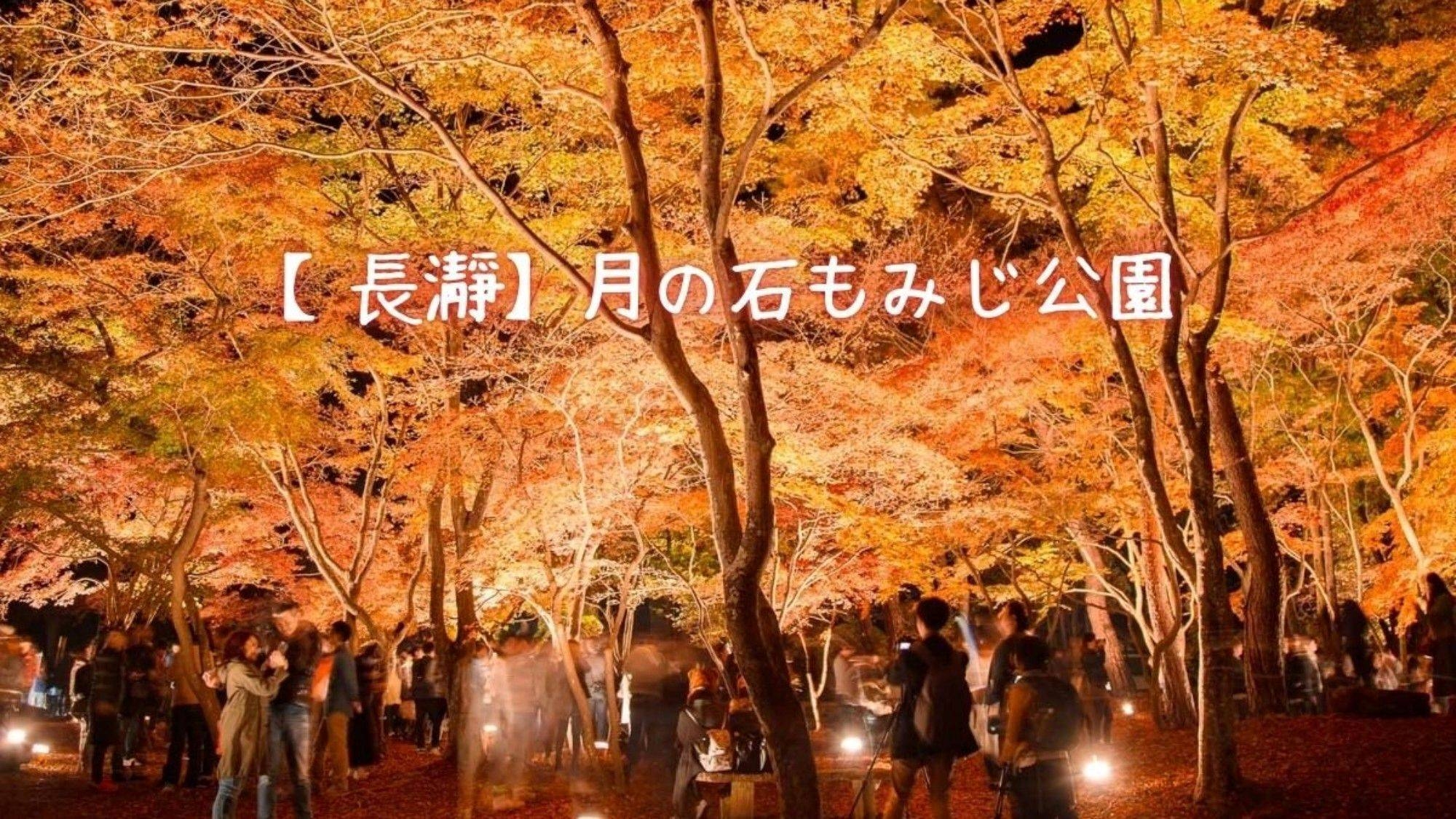 【紅葉ライトアップ観賞プラン】赤、黄、橙に染まる幻想的な木々に心がドキドキ11/14〜11/24限定