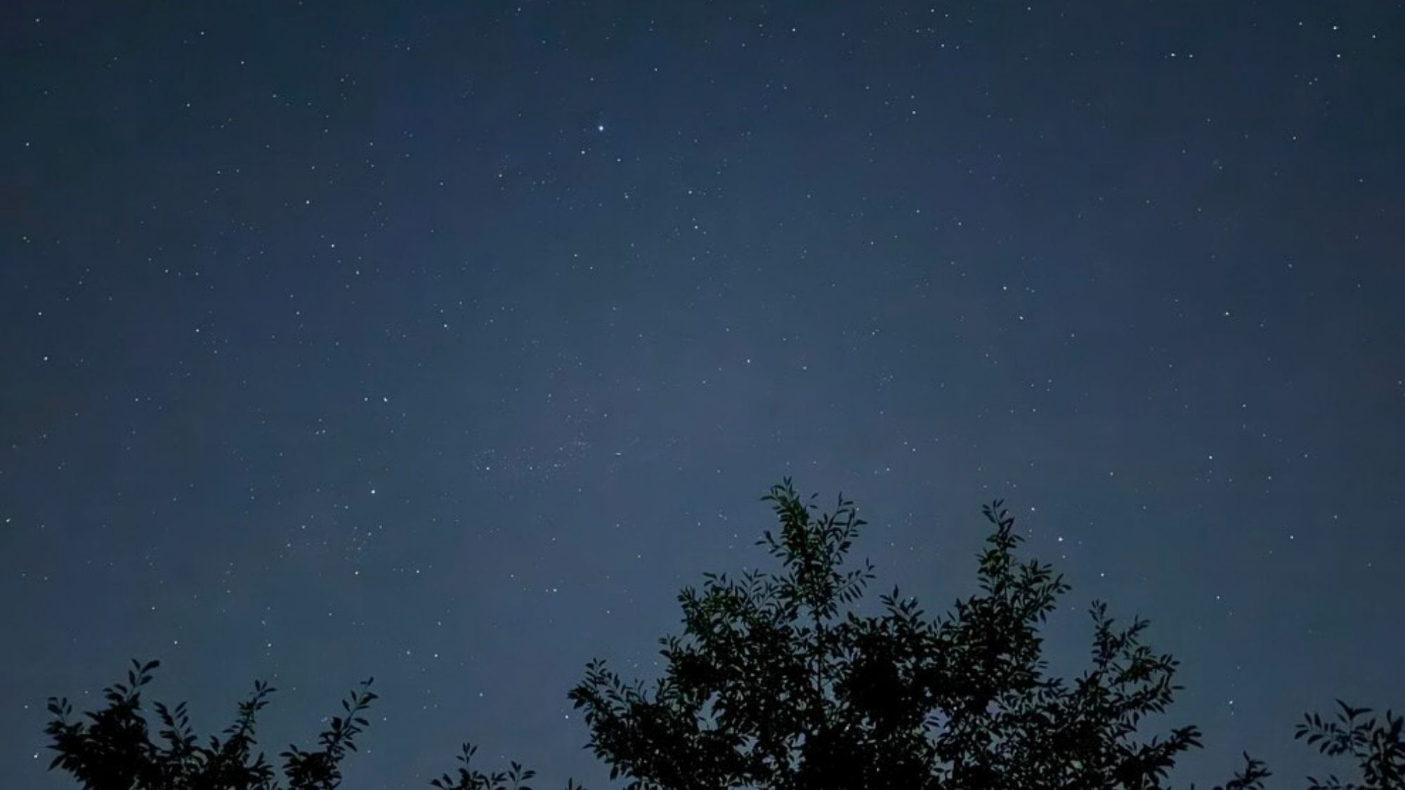 【冬の星空と夜景を楽しむ大自然ツアー】 ☆星の鑑賞会＆ガイド付き