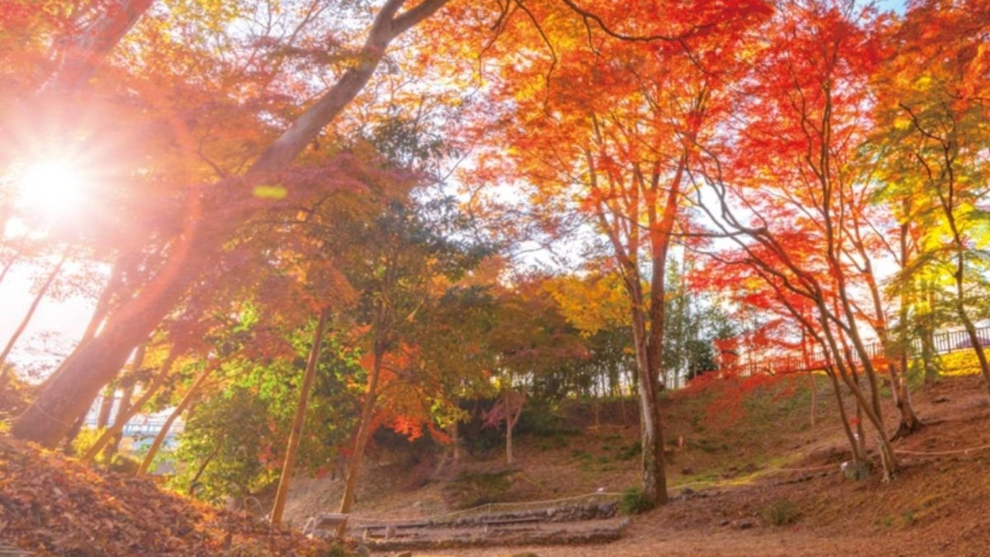 紅葉に染まる歴史の庭へ■松本幸四郎別邸跡・雀宮公園 秋の散策旅■11/28金〜12/6土限定プラン