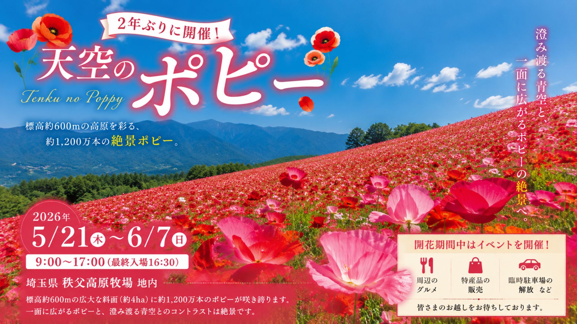 約1,200万本のポピーが咲き誇る絶景へ