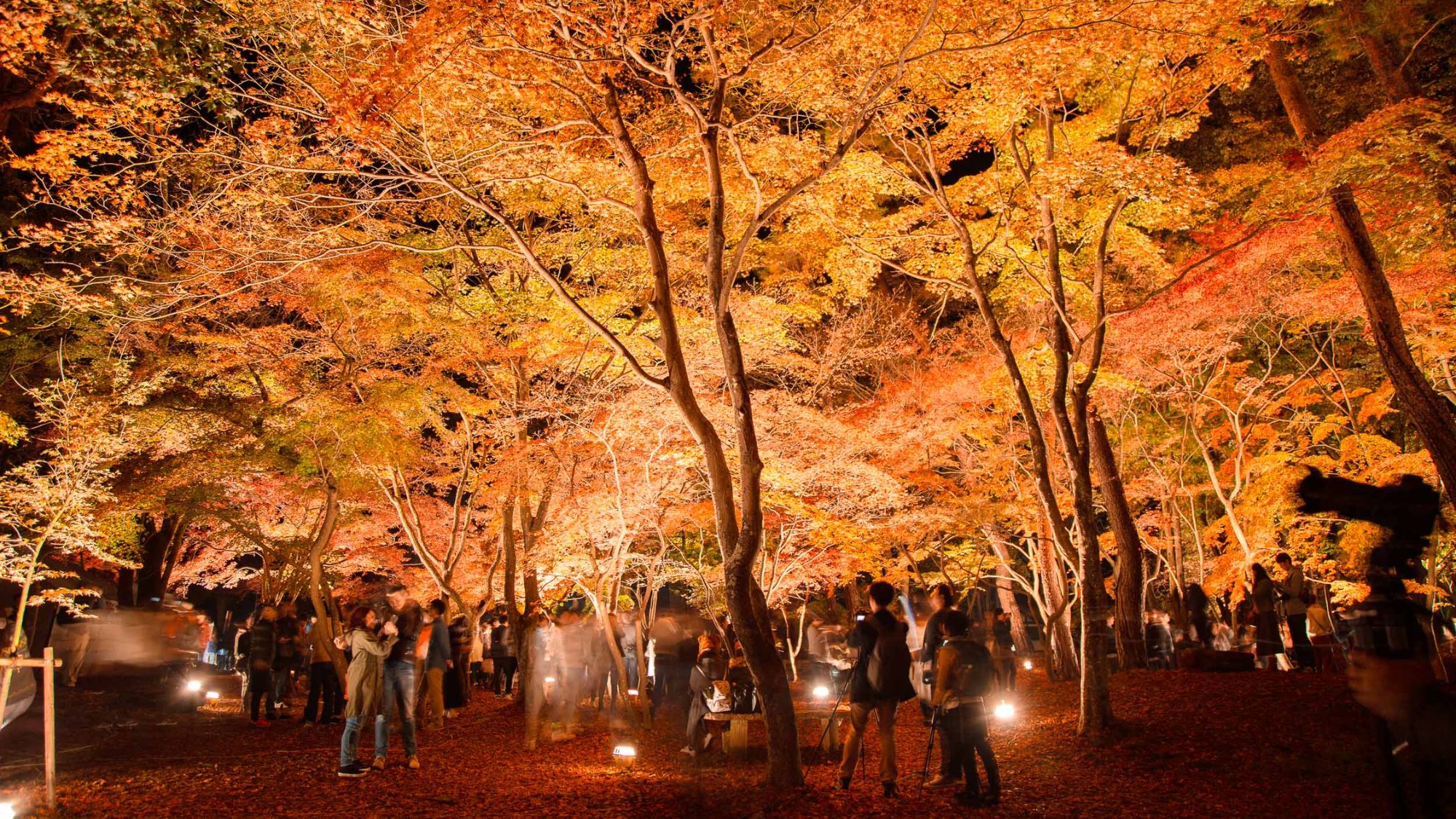 月の石もみじ公園