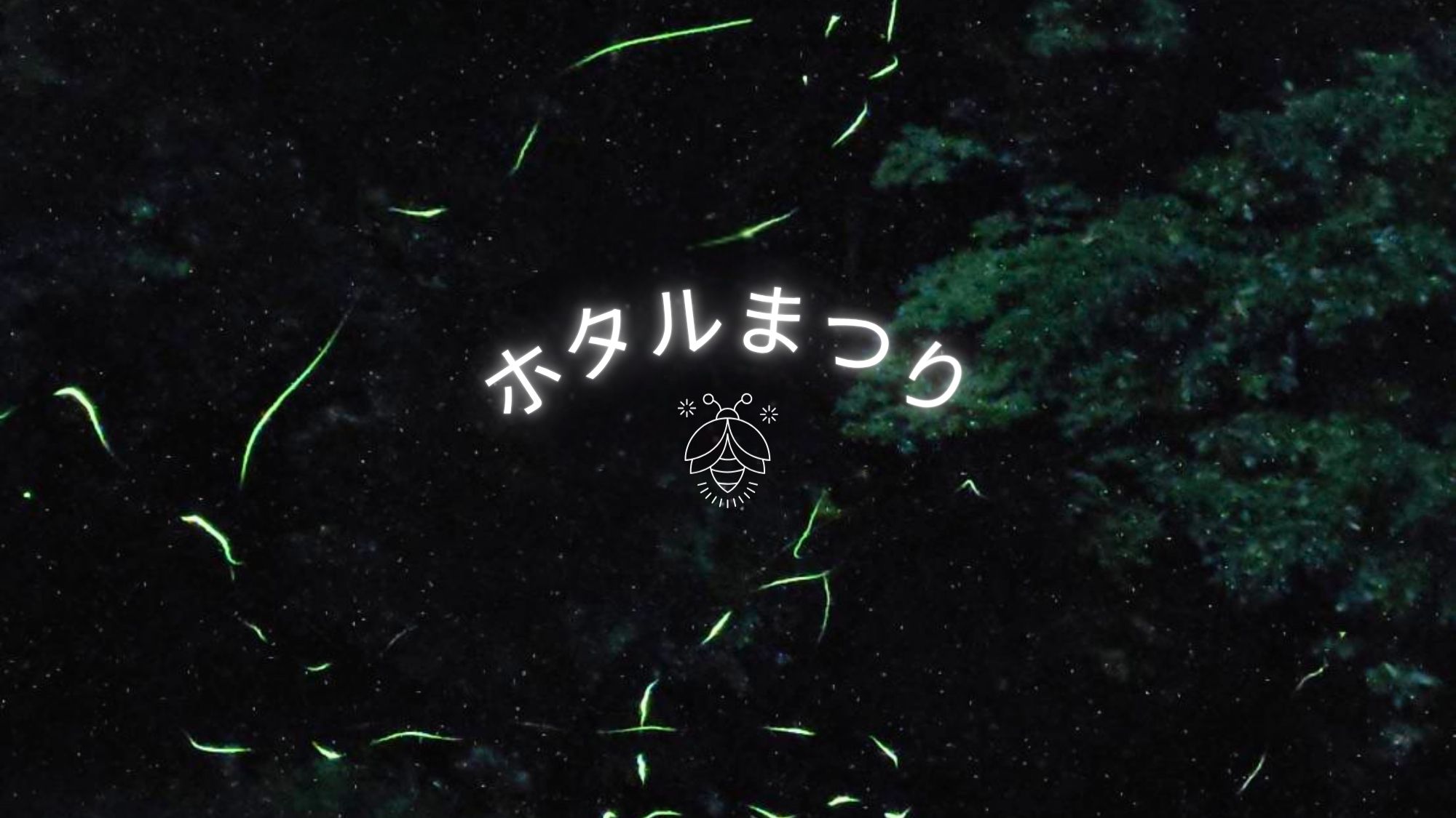 幻想的なほたるの光に出会う夜。 