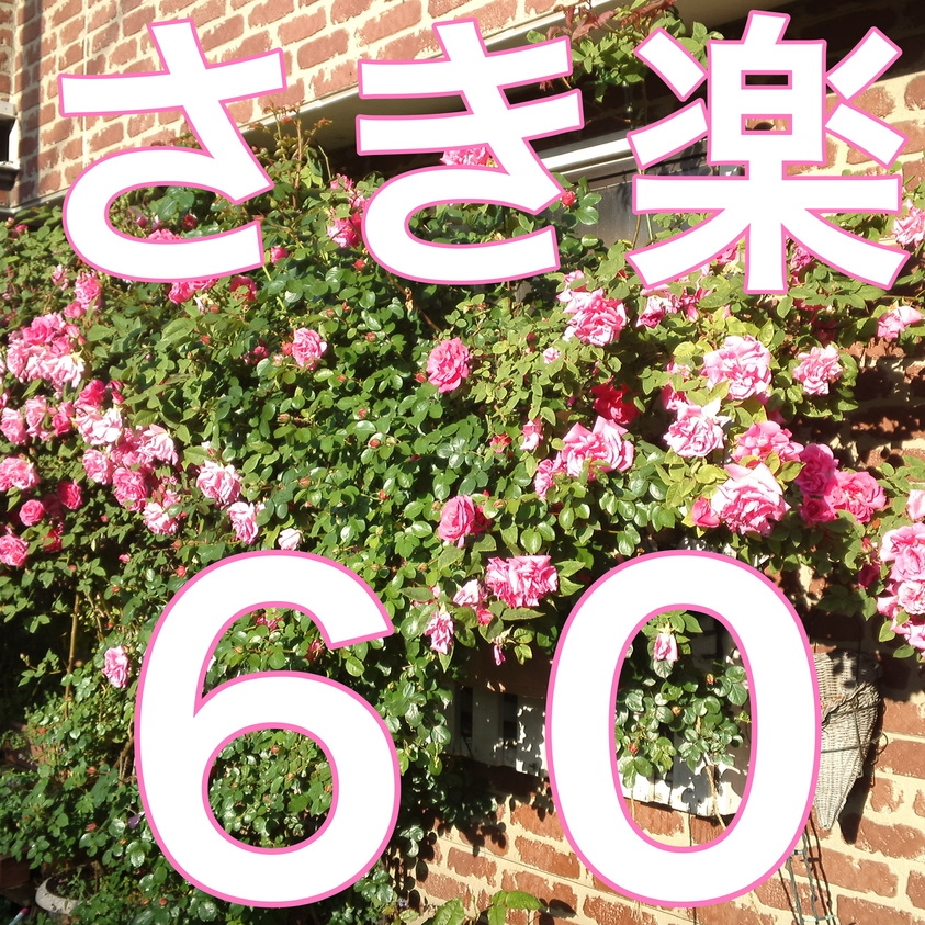 【さき楽60】60日前までの予約がお得！昭和レトロ泊プラン《素泊まり》
