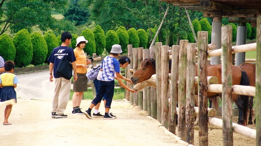 【三瀬村】三瀬ルベール牧場どんぐり村