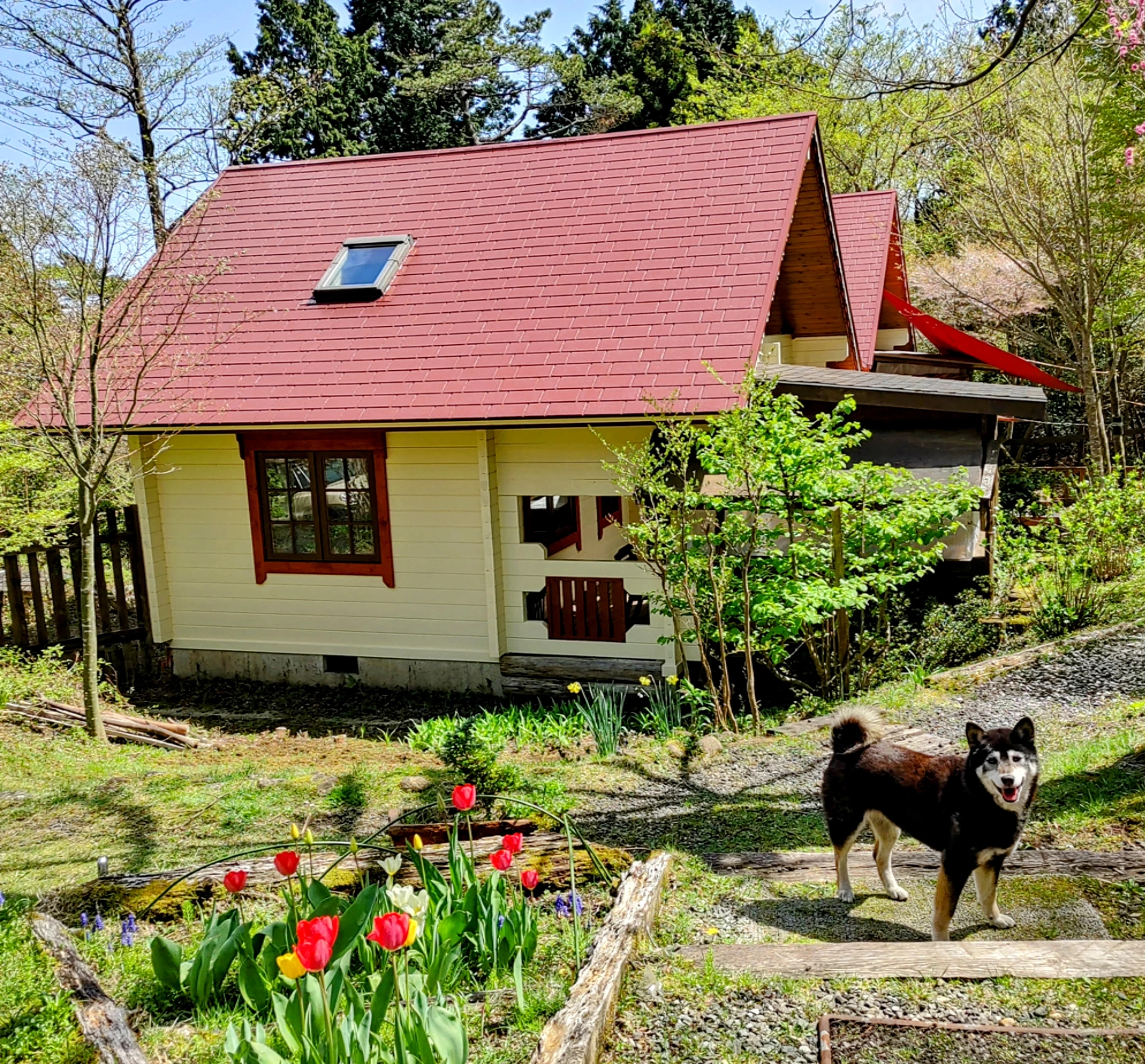 高原に建つ、本格フィンランドログコテージ