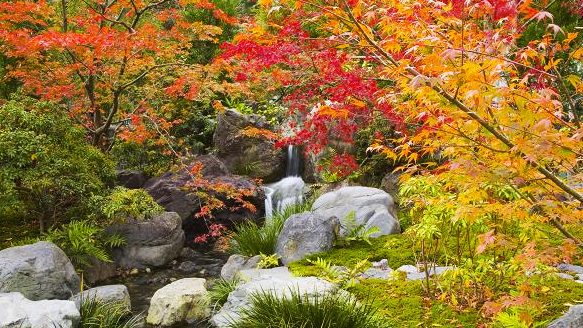 *美しい紅葉を眺めながらのんびりお過ごしください。