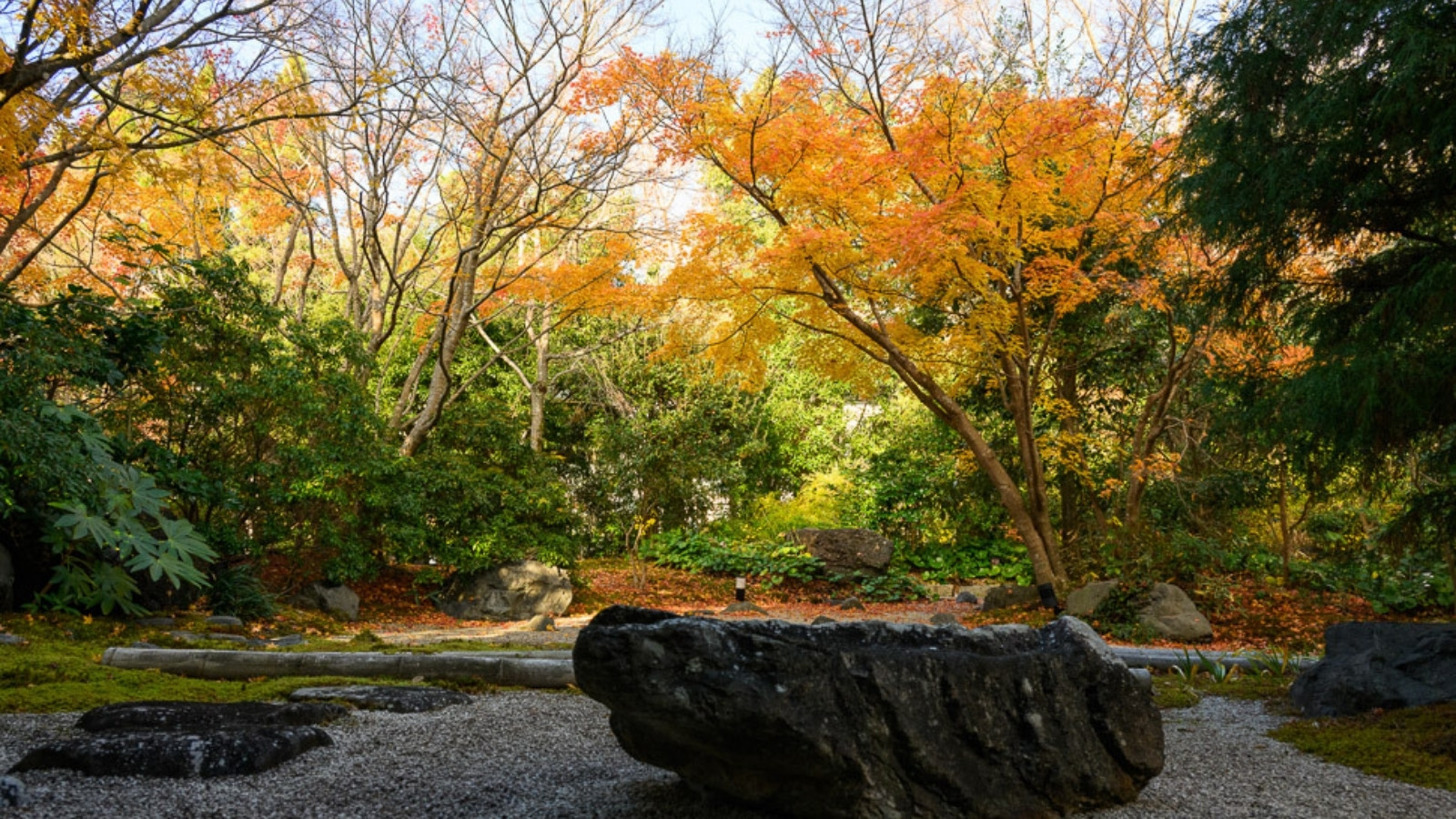 【閑雅の庭】敷地内の庭園「閑雅の庭」は四季折々の姿を見せてくれる日本庭園です。