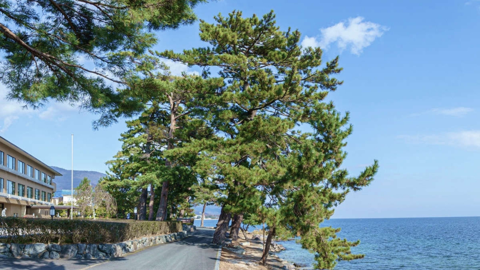 【外観】琵琶湖まで徒歩10秒の湖畔の宿