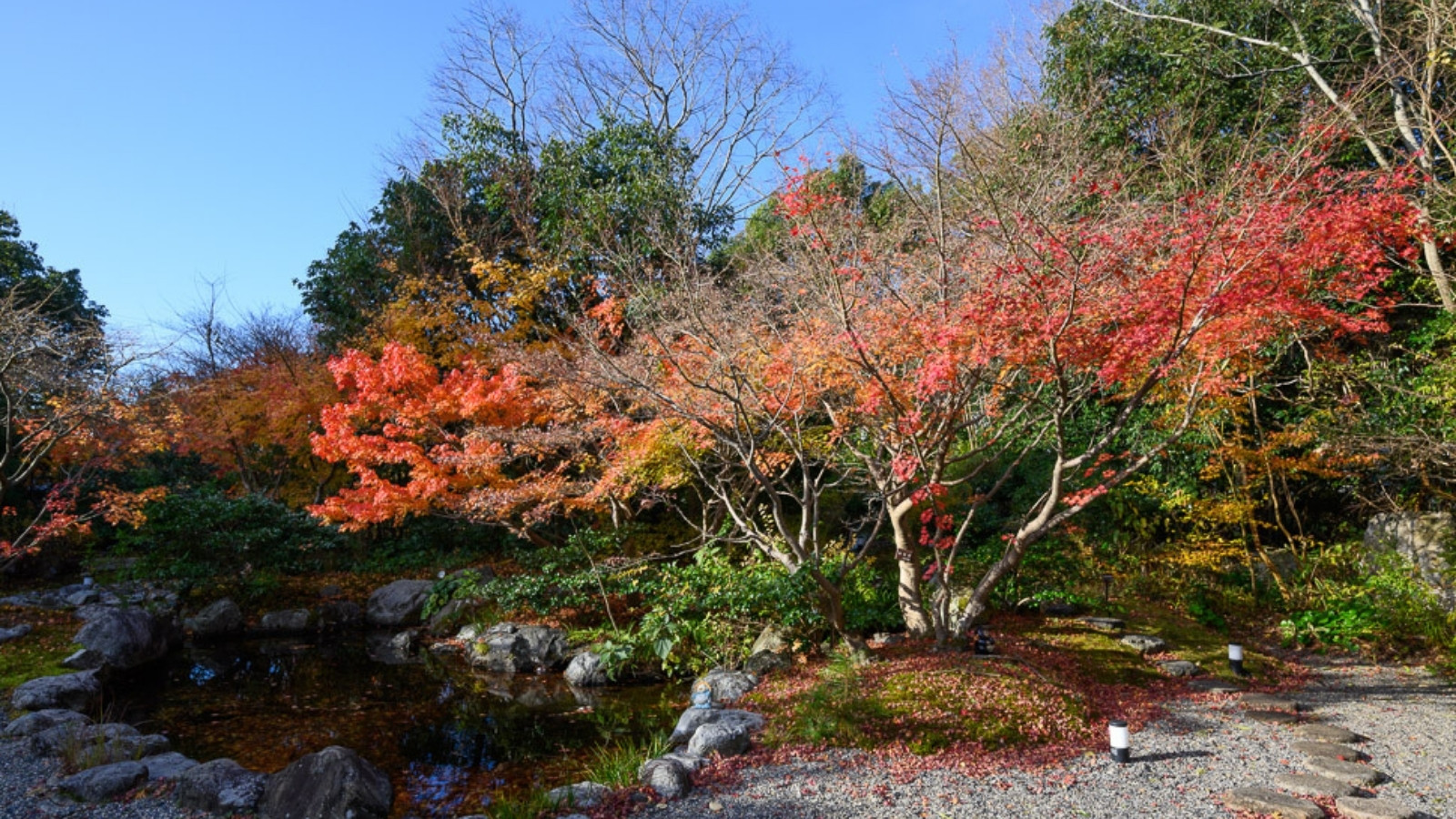 【閑雅の庭】敷地内の庭園「閑雅の庭」は四季折々の姿を見せてくれる日本庭園です。