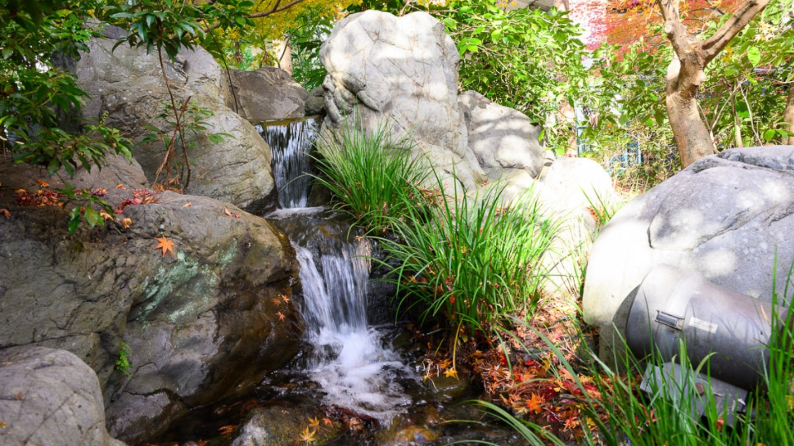 【閑雅の庭】四季折々の姿を見せてくれる日本庭園