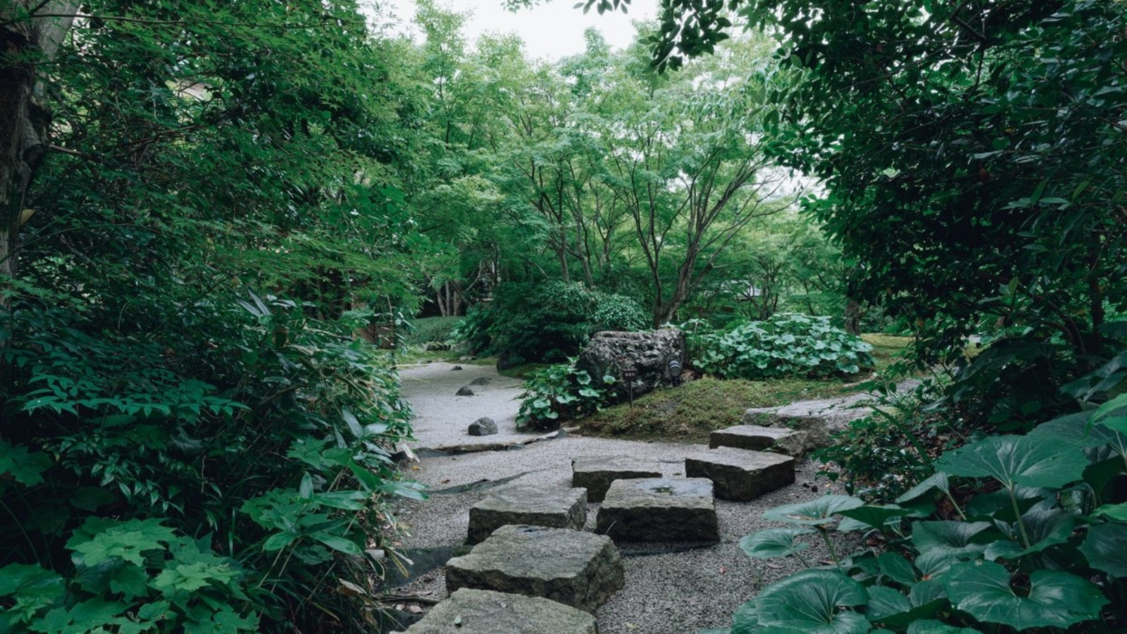 【閑雅の庭】四季折々の姿を見せてくれる日本庭園
