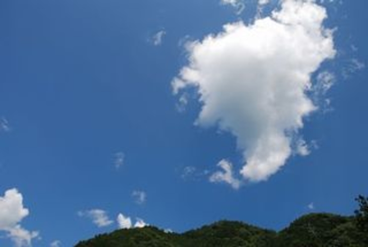 この青い空見てくださいよ～これが　南国土佐です