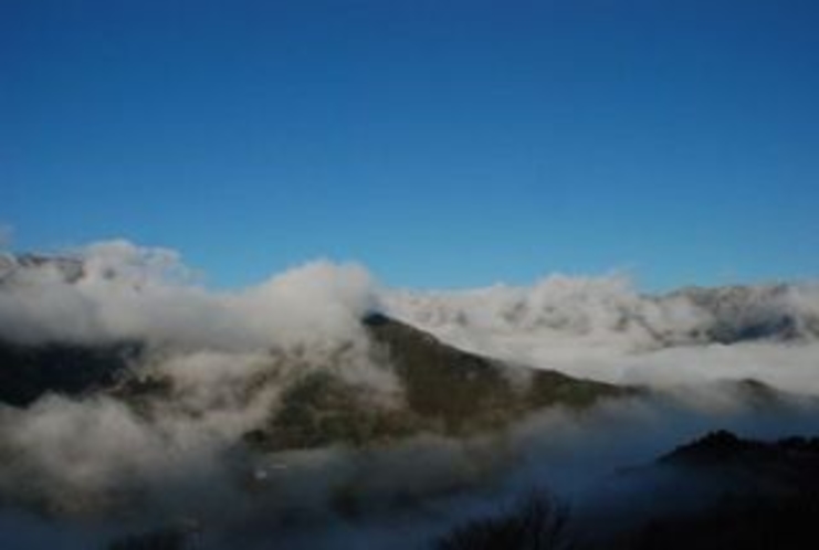 ひょうたん桜で有名な桜地区　見える景気は対岸の宗津地区の山4