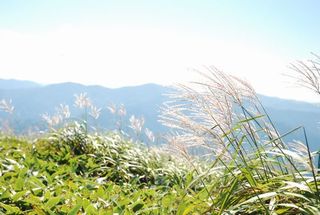 中津明神山からの眺めなどご紹介　９