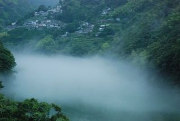 霧のかかる仁淀川　集落と茶畑②
