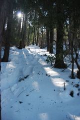 しもなの郷 氷の滝鑑賞ツアー 雪山に午後の光がさす きれいだな