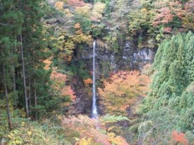 安居渓谷の秋画像５