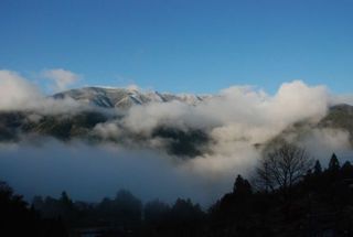 ひょうたん桜で有名な桜地区　見える景気は対岸の宗津地区の山1