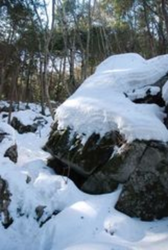 しもなの郷 氷の滝鑑賞ツアー なんとも不思議な場所である 石灰岩の洞窟