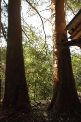 安居土居地区　神秘的でした☆氷室神社（氷室の道）5