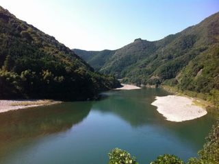 仁淀川フォト！いの町～仁淀川　越知町の仁淀川は雄大で　河畔林もあり