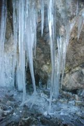 しもなの郷 氷の滝鑑賞ツアー 白滝 しばし 氷の造形美をご堪能くださいませ 2