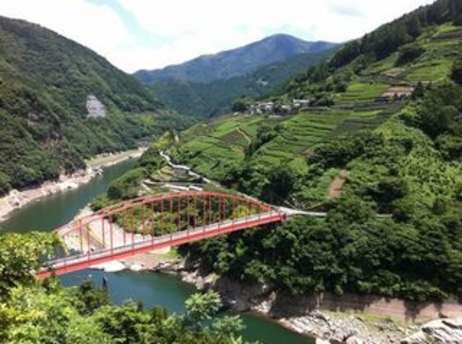 愛媛県との県境の集落　沢渡地区　仁淀川の美しさ　急傾斜地に広がる茶畑