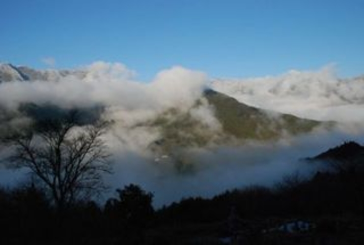 ひょうたん桜で有名な桜地区　見える景気は対岸の宗津地区の山3宗津地区の山2