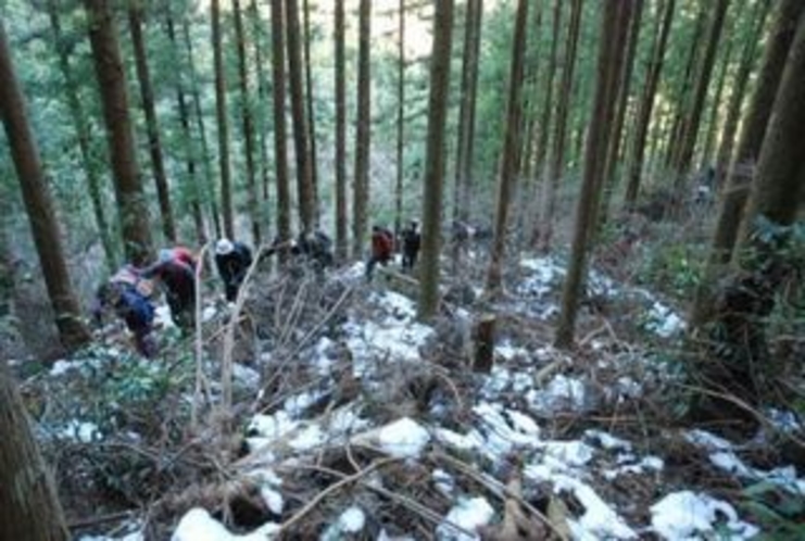 しもなの郷 氷の滝鑑賞ツアー 最初は杉 檜の植林の中を突き進む