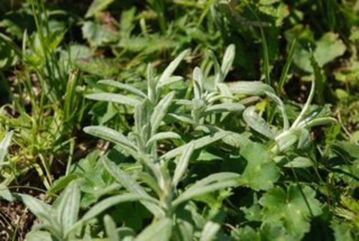 中津明神山からの眺めなどご紹介　８