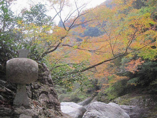 中津渓谷の紅葉