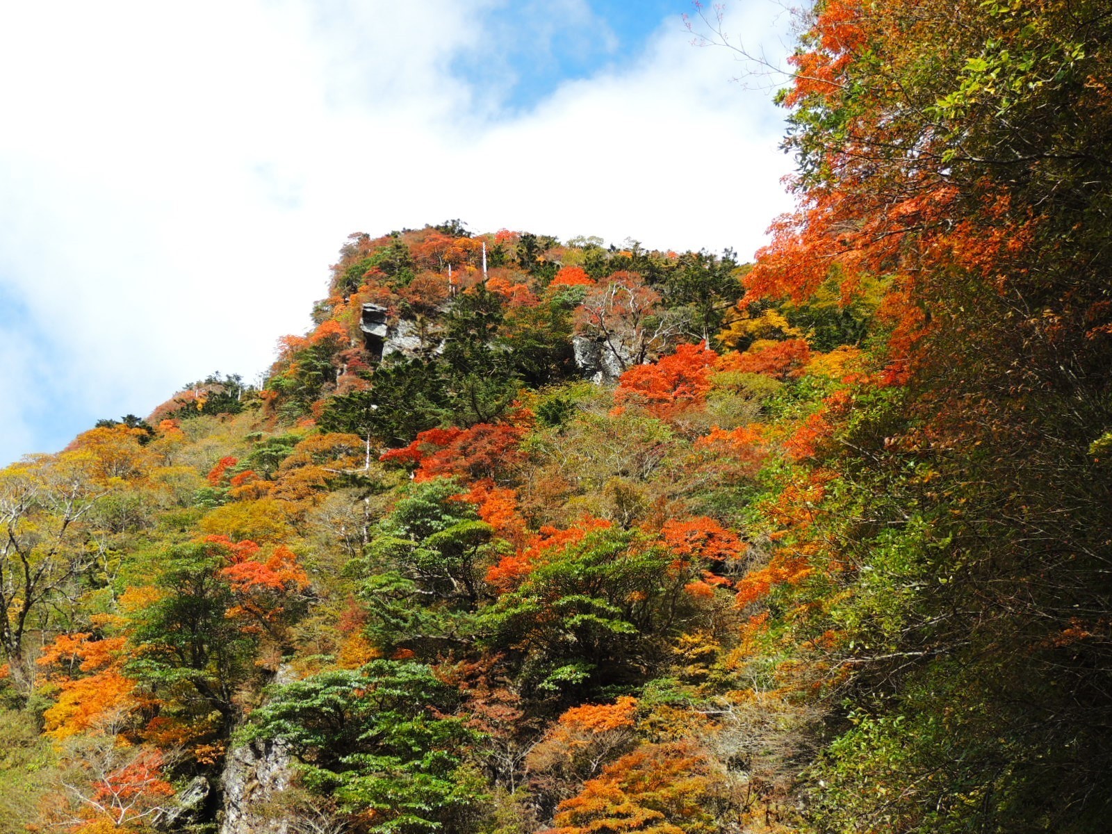 UFOラインの紅葉