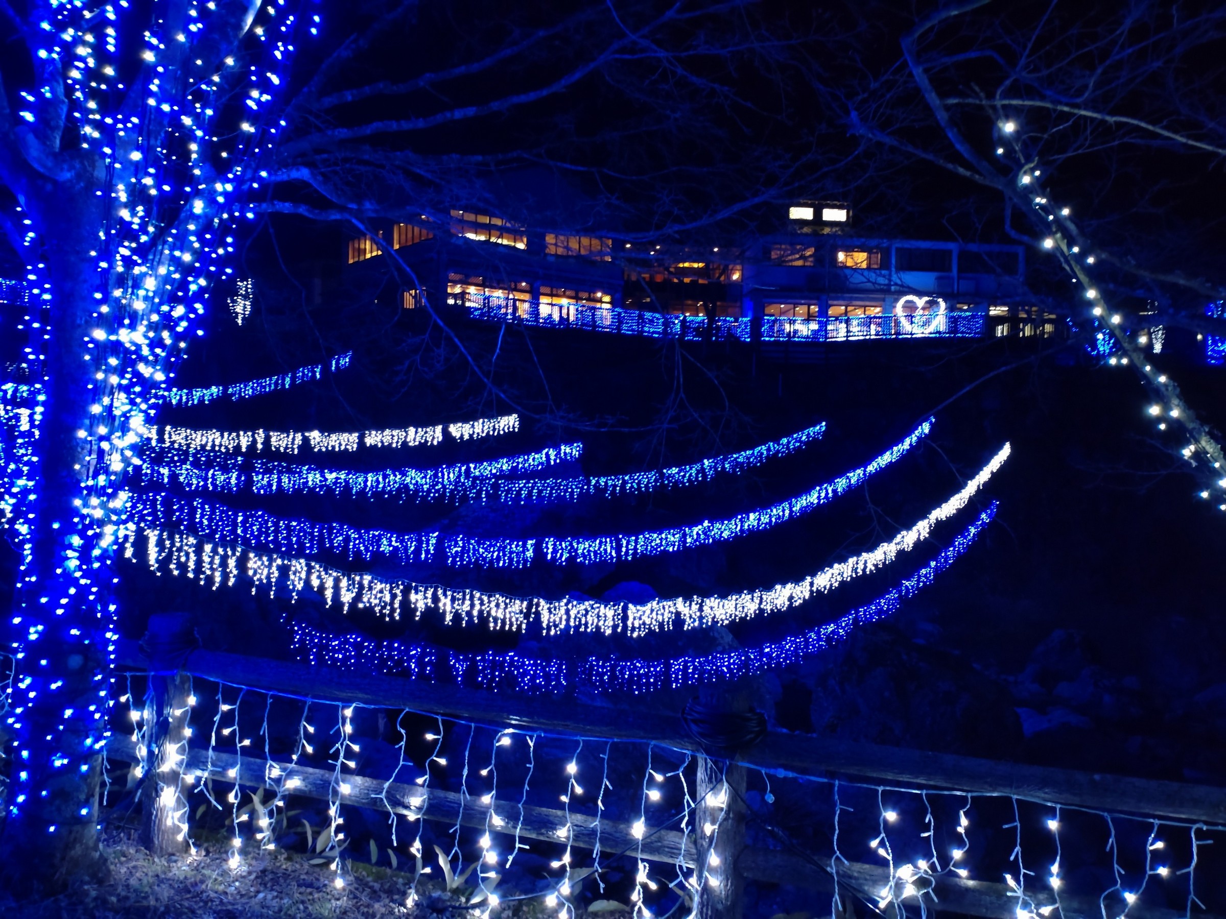 仁淀ブルーフェスタ