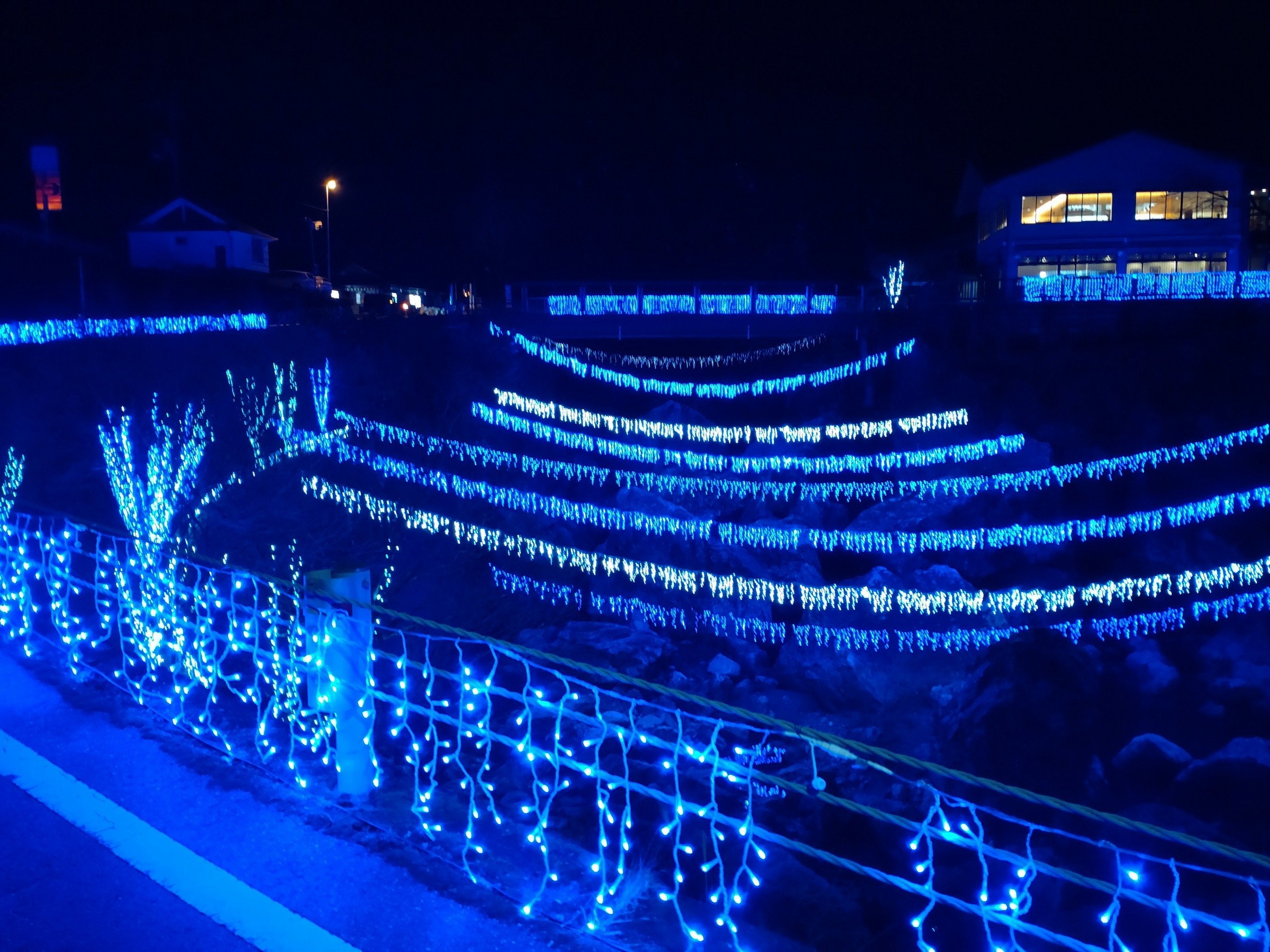 仁淀ブルーフェスタ