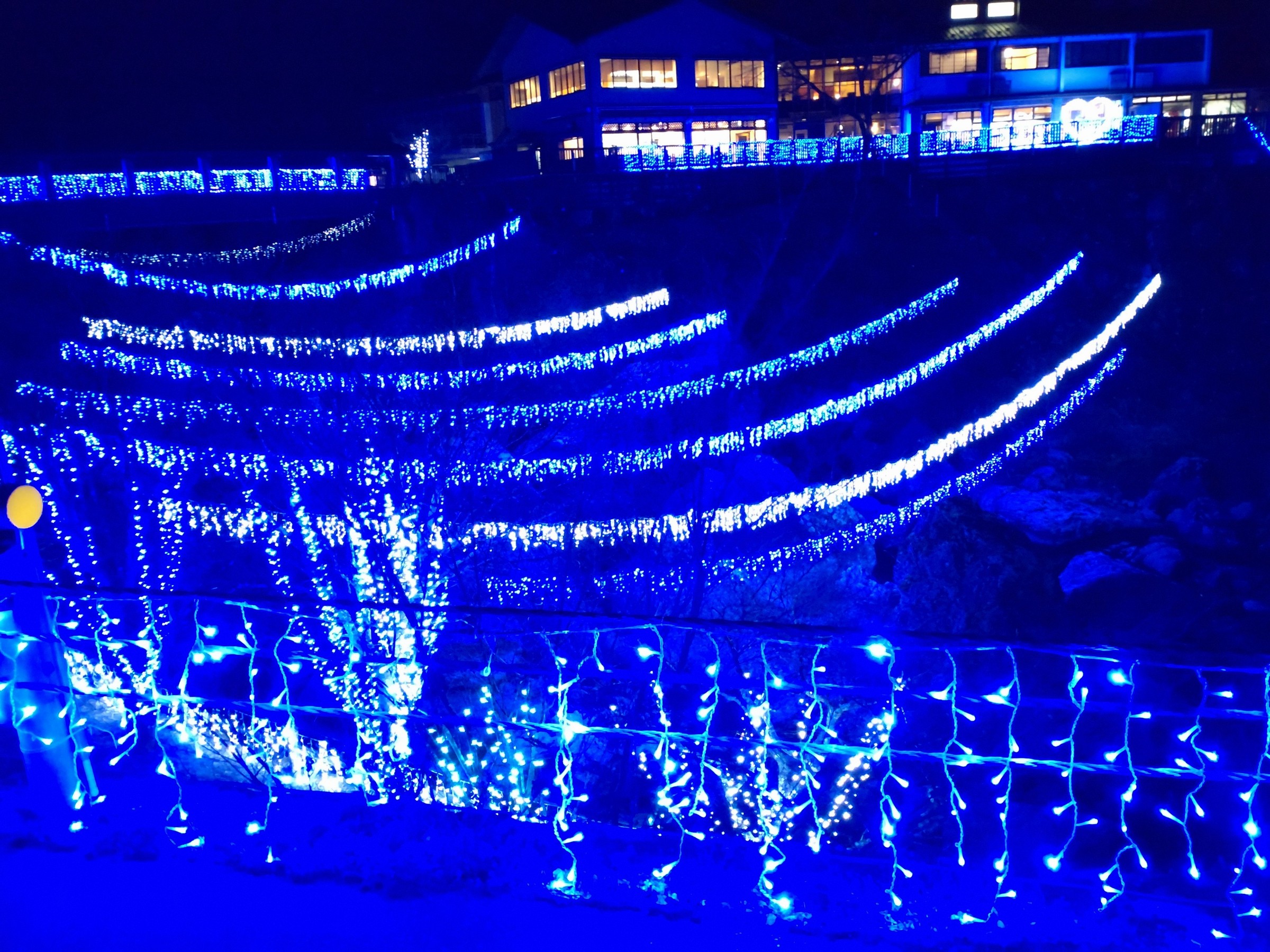 仁淀ブルーフェスタ