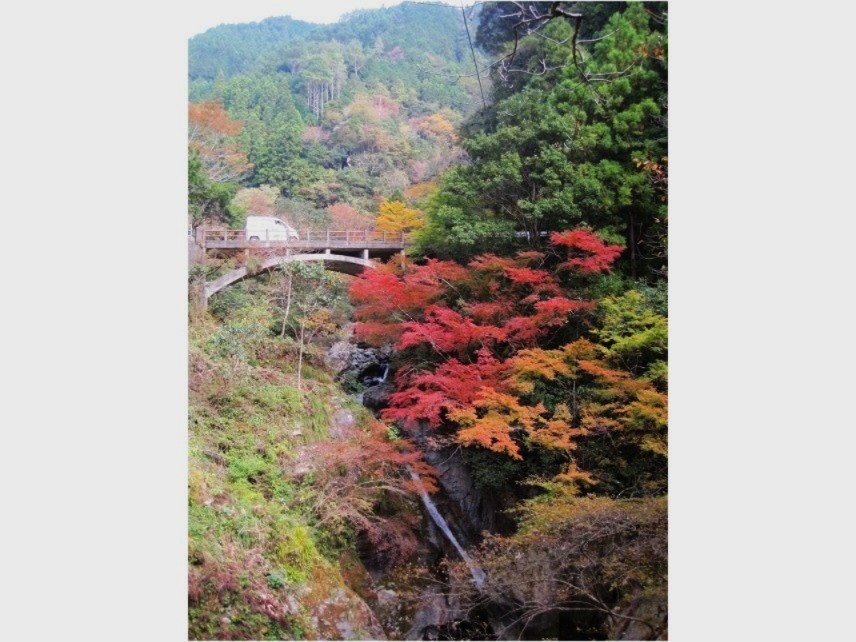 中津渓谷の紅葉