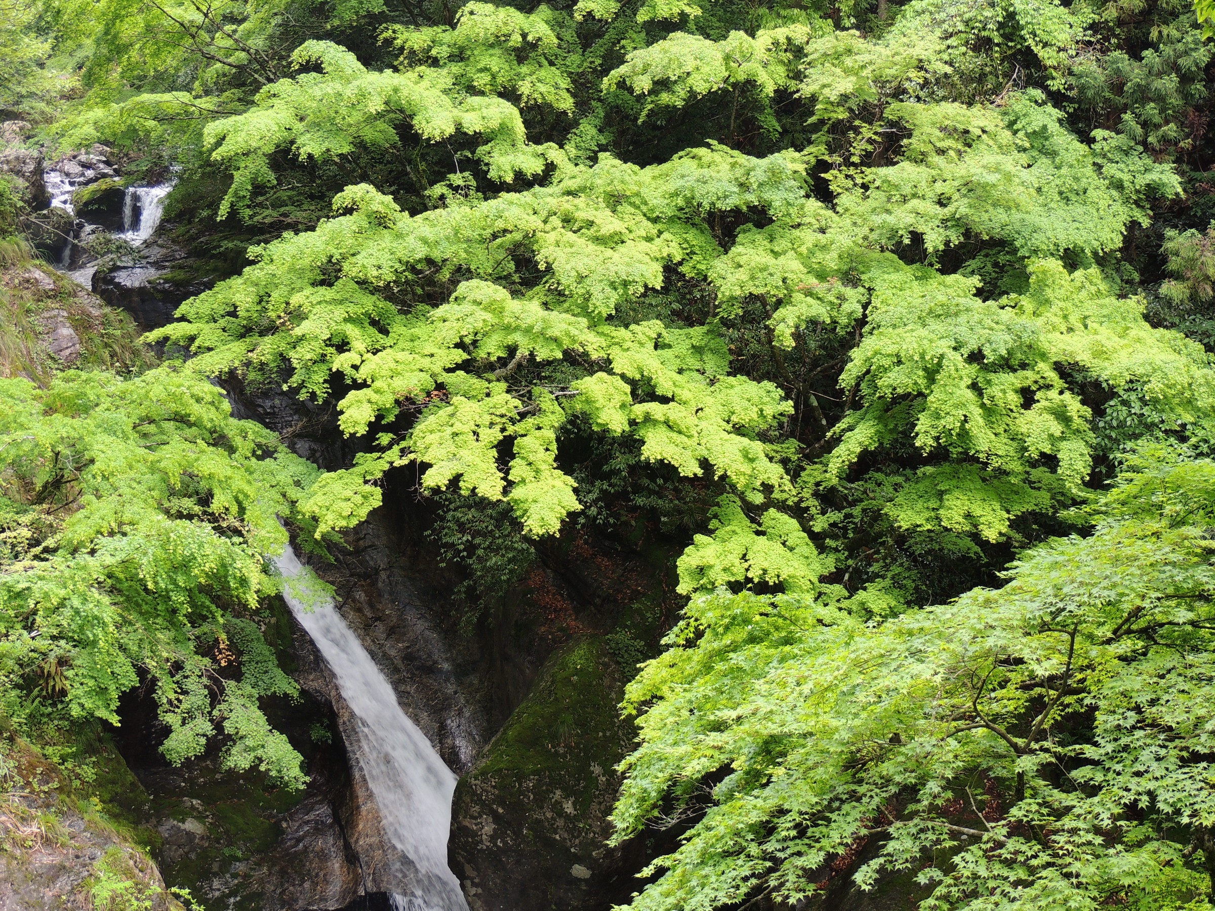 中津渓谷竜宮渕