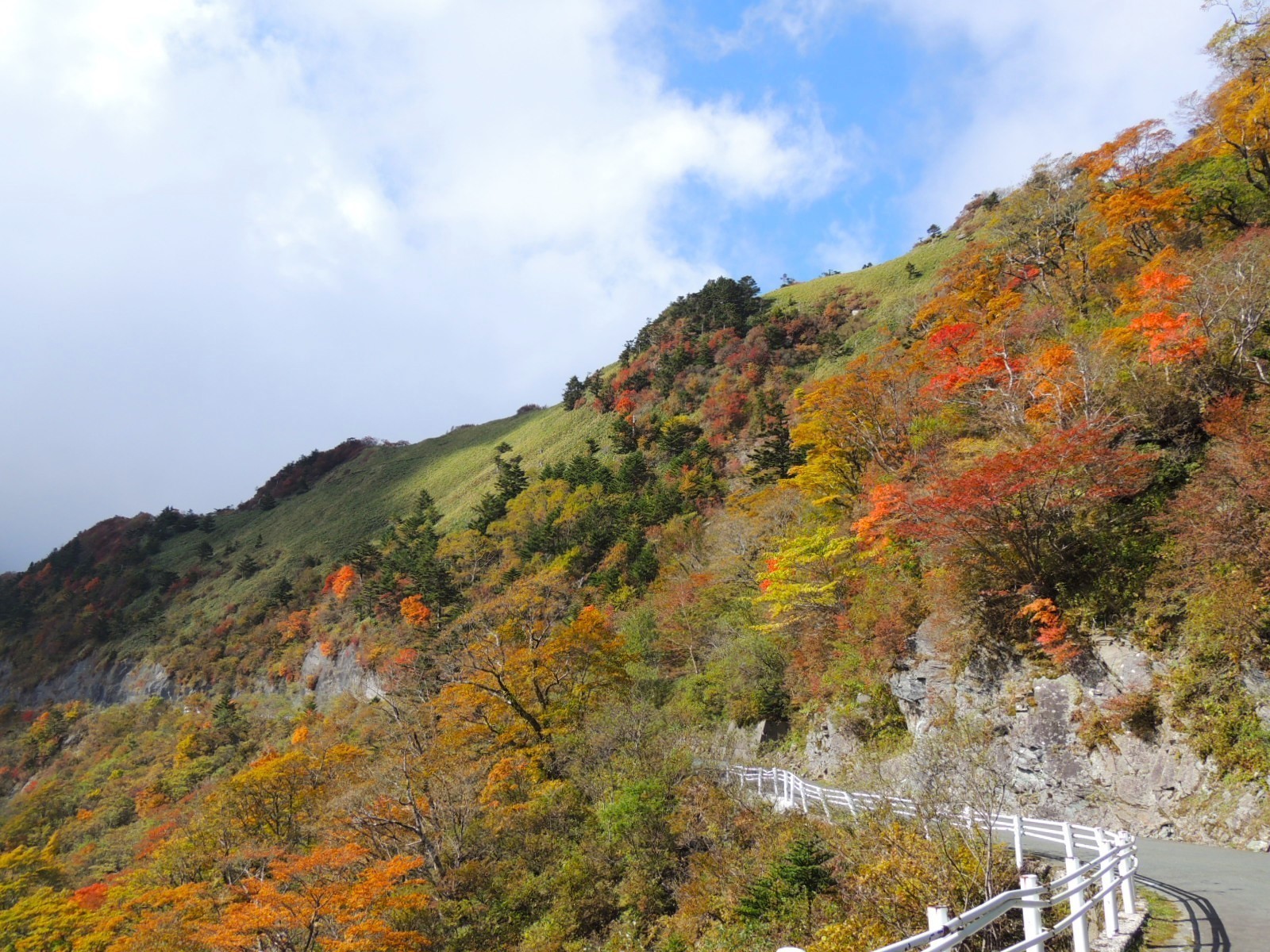 UFOラインの紅葉