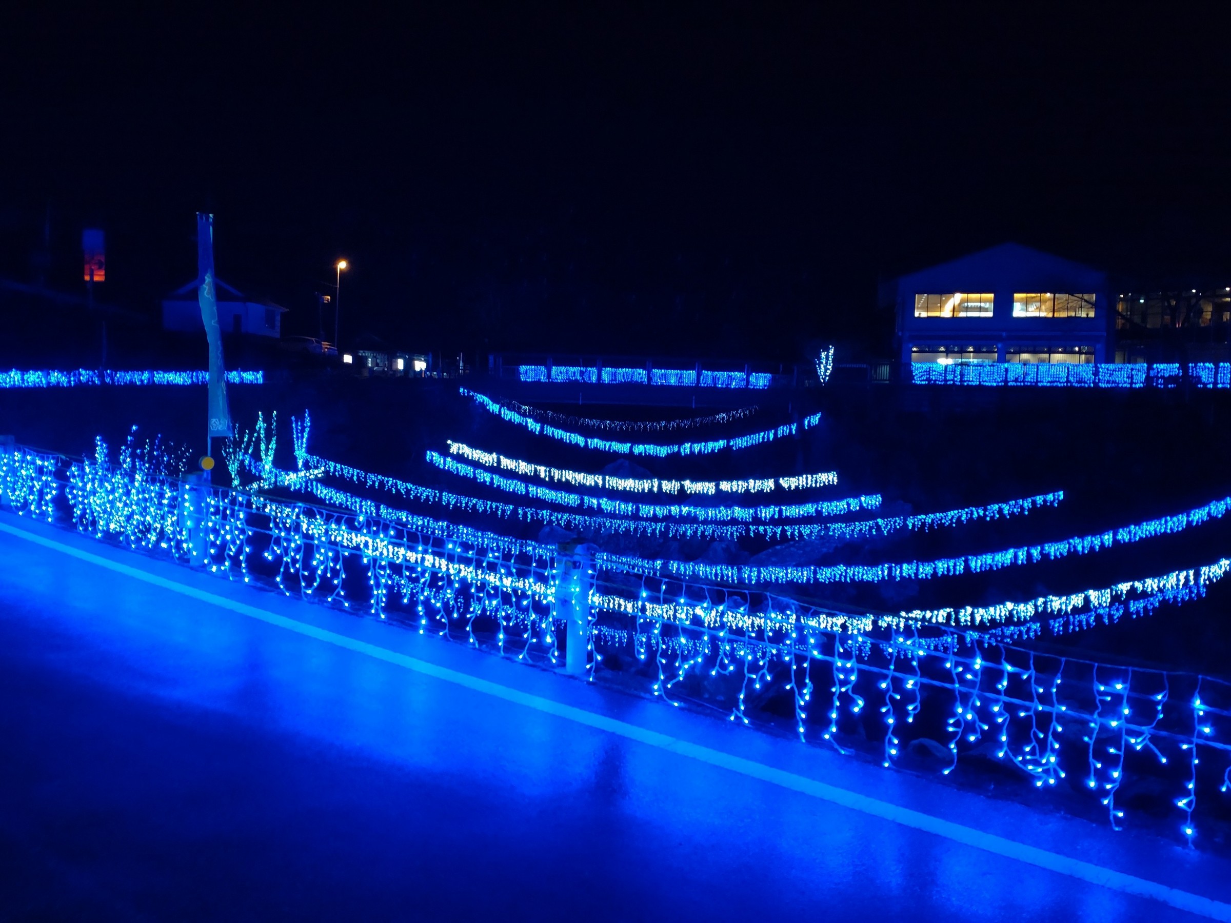 毎年1/2～2月末まで開催されます。2025年２月撮影