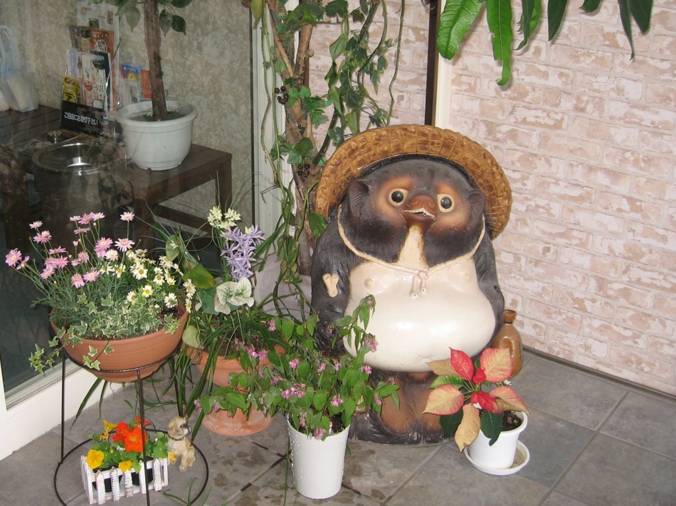狸君