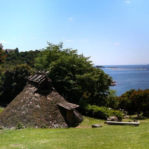 Pit-house dwelling