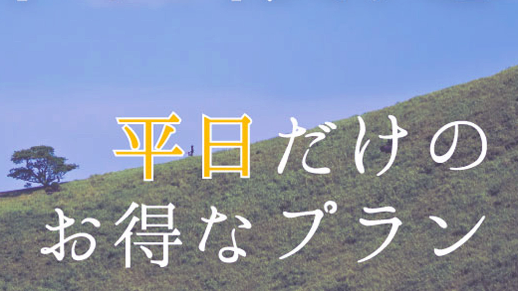 【平日限定】ご愛顧感謝☆曜日限定お値打ち宿泊【1泊2食】