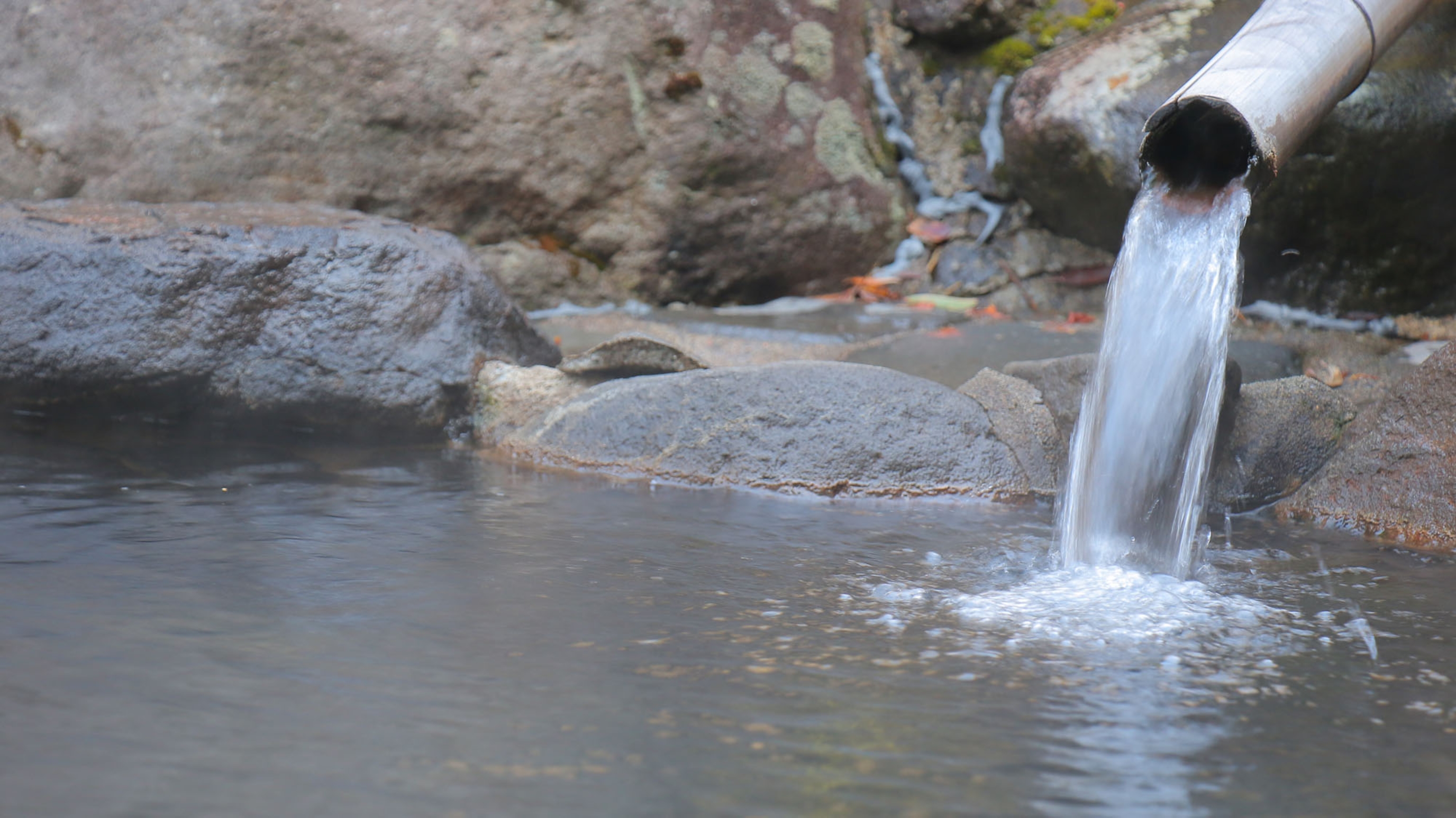 〝筋肉をほぐす湯〟として肩こりなどの筋の凝りなど筋の病に効くということから「筋湯」と呼ばれています