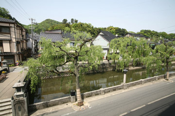【一番人気】柳並木と大谷川を望む和室