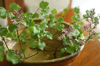 ある日の館内のお花