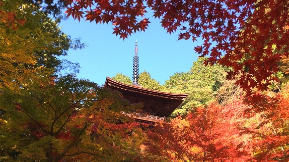 【秋旅★日本紅葉名所百選〜湖東三山〜】量少なめが嬉しいプチ会席♪アクセス抜群！当館より最短で13分！